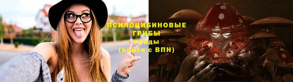 соль ск Алексеевка